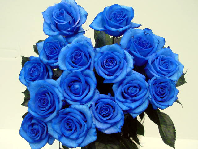 rose04