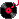 rose04
