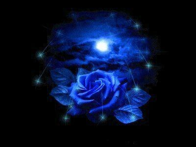 rose04