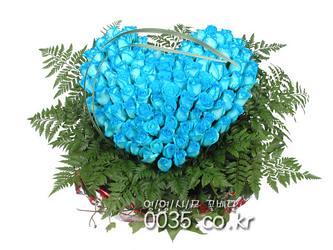rose04