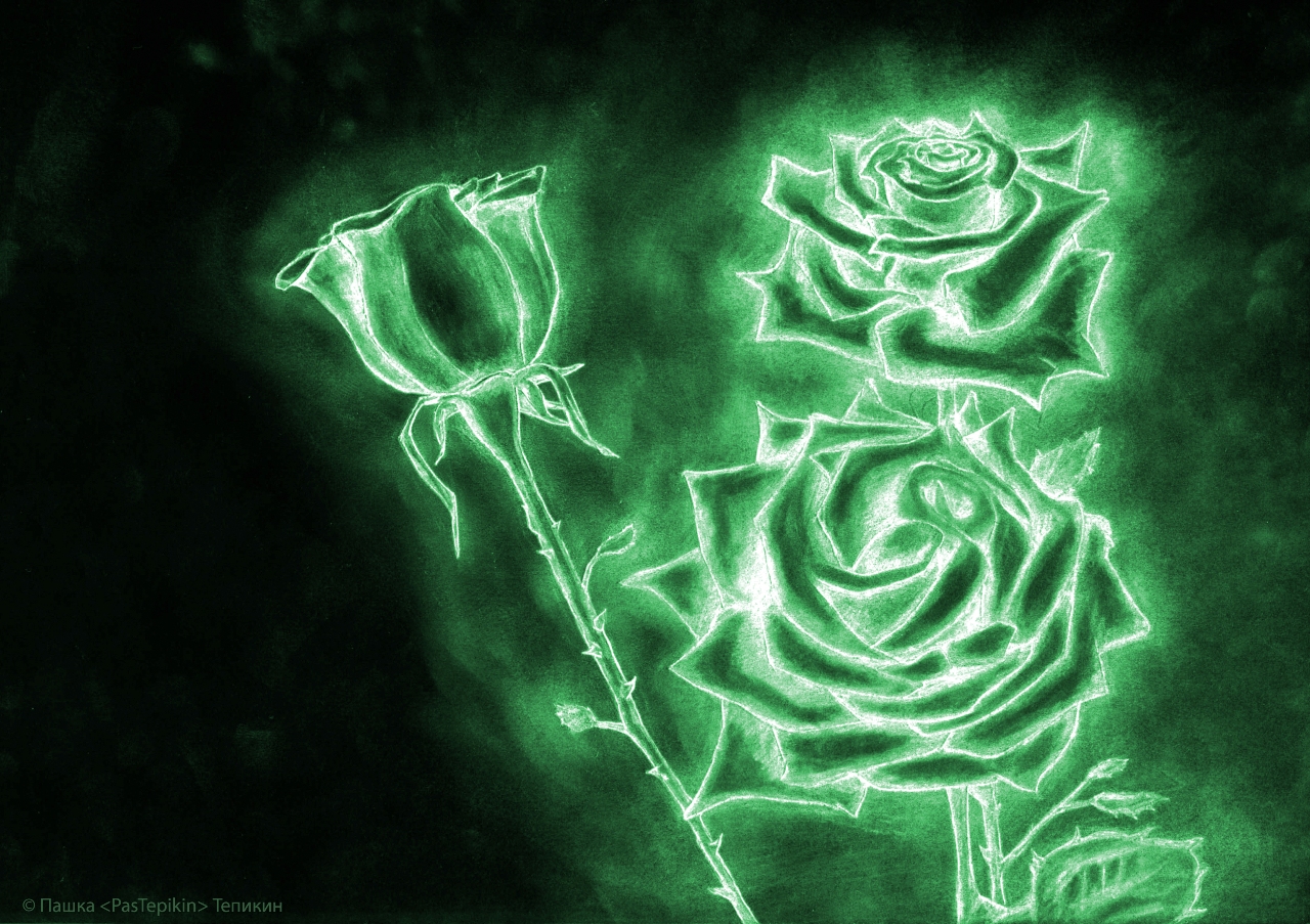 rose04