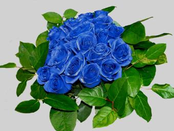 rose04