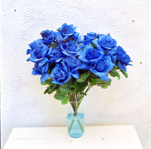 rose04