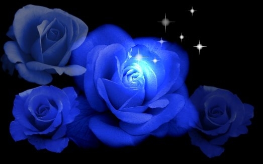 rose04