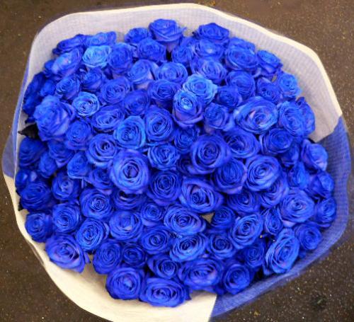 rose04